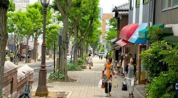 Kitano showing a city, shopping and street scenes