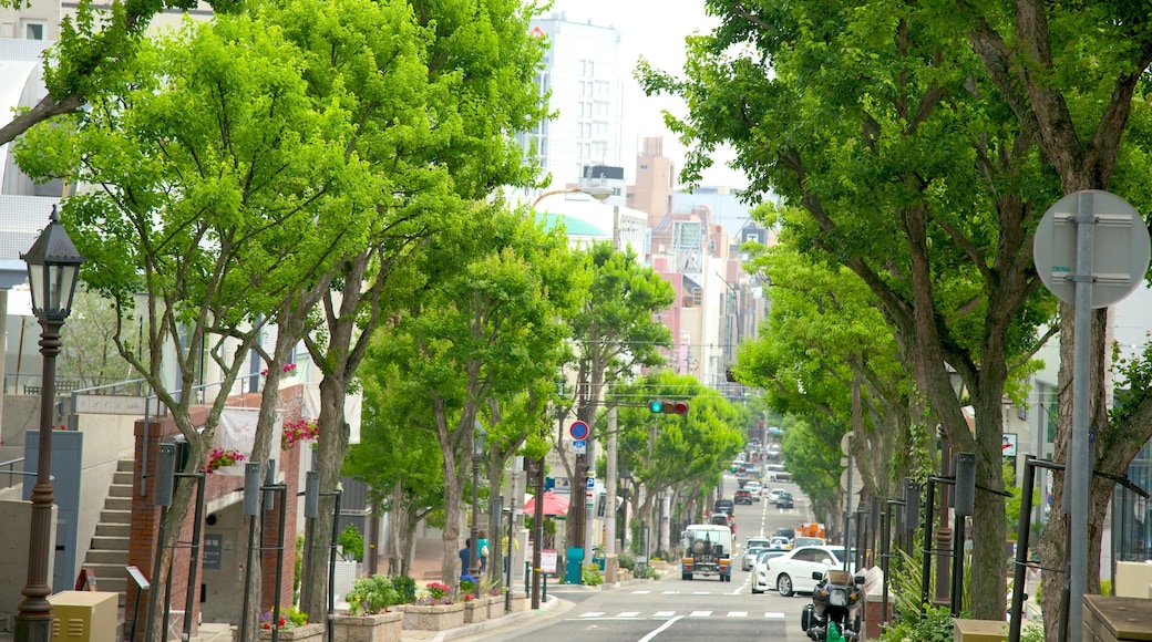 Kitano showing street scenes and a city