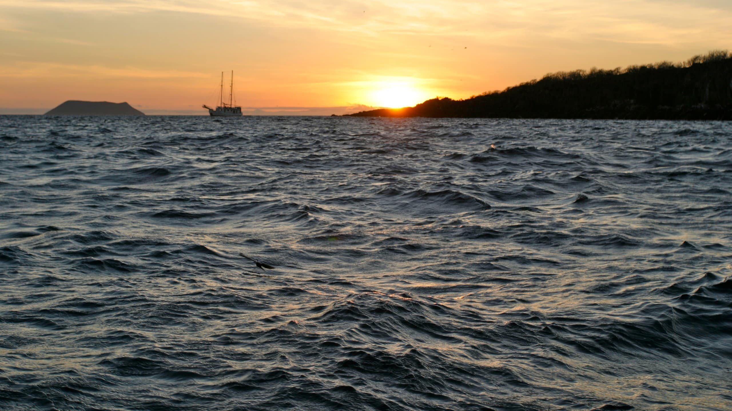 Travel North Seymour Island Best of North Seymour Island, Visit