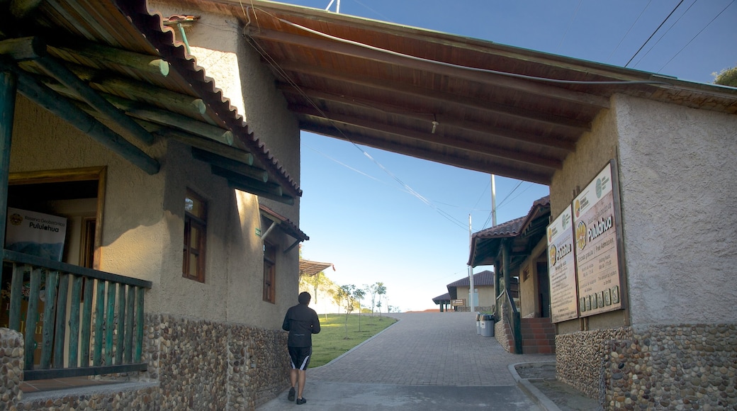 Quito mostrando una pequeña ciudad o aldea y también un hombre