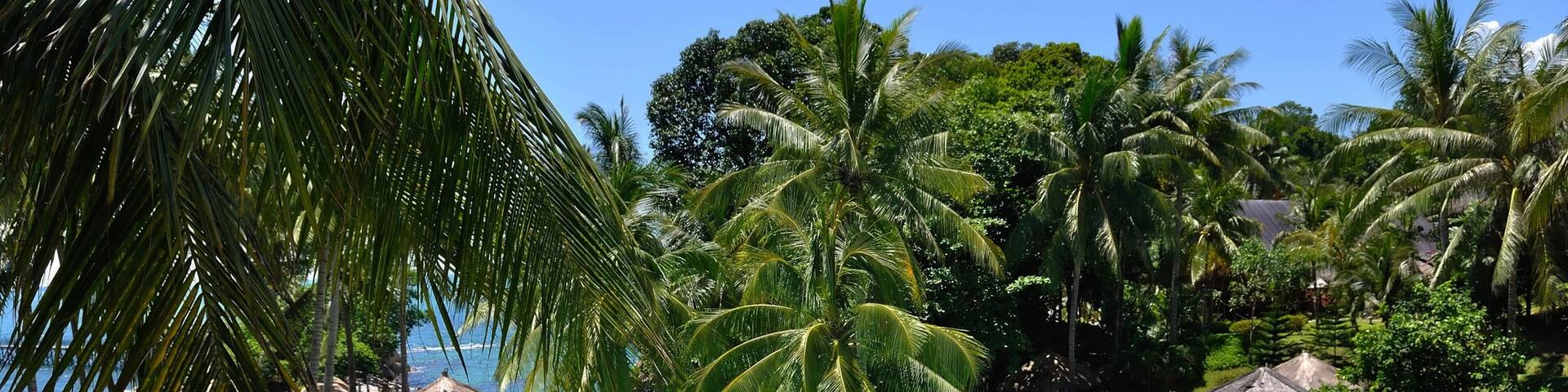 Batam Island which includes swimming, a pool and landscape views