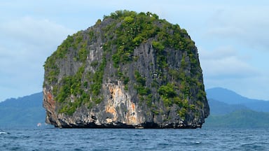 Palawan mit einem allgemeine Küstenansicht, Inselansicht und Landschaften