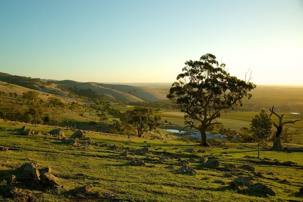 Barossa Valley which includes a sunset, tranquil scenes and landscape views