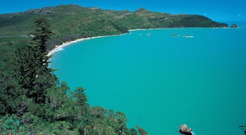 Mackay featuring general coastal views, landscape views and a bay or harbor