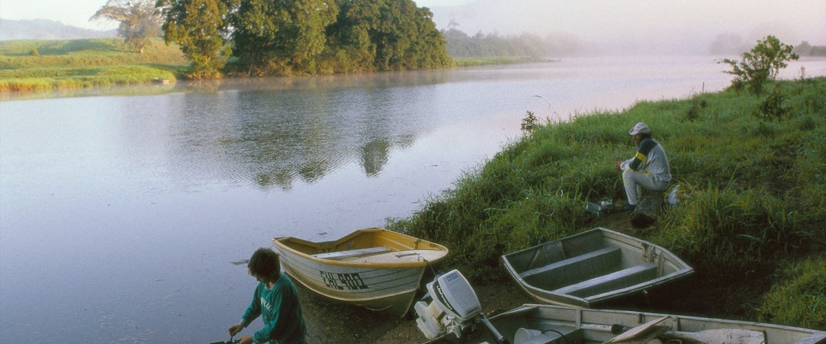 Daintree - Cape Tribulation which includes a river or creek, landscape views and fishing