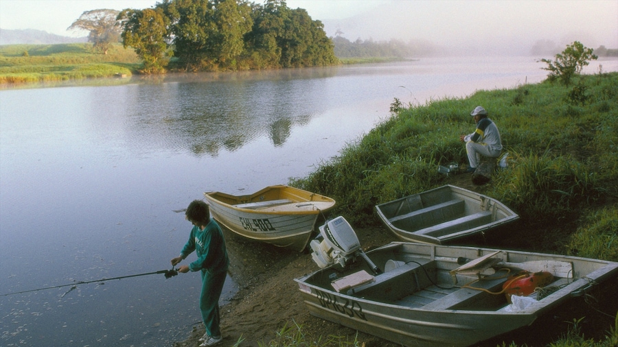 Daintree - Cape Tribulation which includes fishing, a river or creek and landscape views