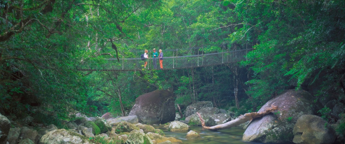 Daintree - Cabo Tribulación que incluye un puente colgante o pasarela en las copas de los árboles, vistas de paisajes y senderismo o caminata