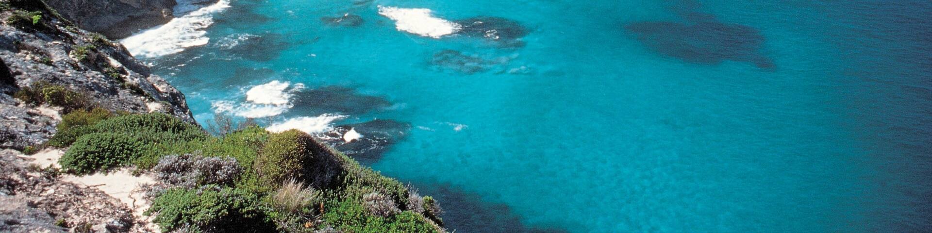 Port Lincoln showing landscape views, coral and rocky coastline