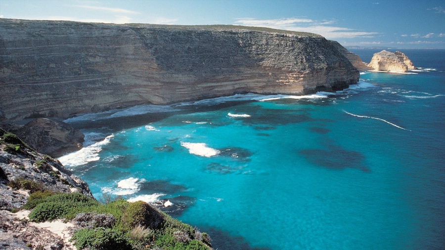Port Lincoln que incluye costa escarpada, corales y vista panorámica