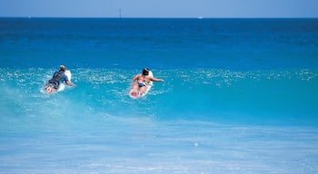 Mandurah montrant surf et vagues