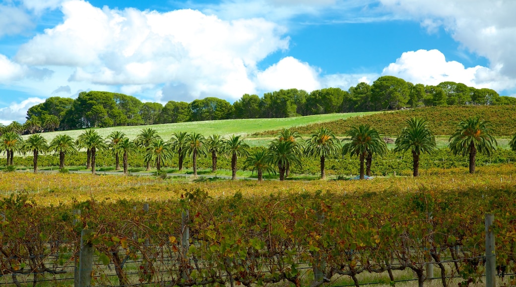 Seppeltsfield que incluye granja y vista panorámica