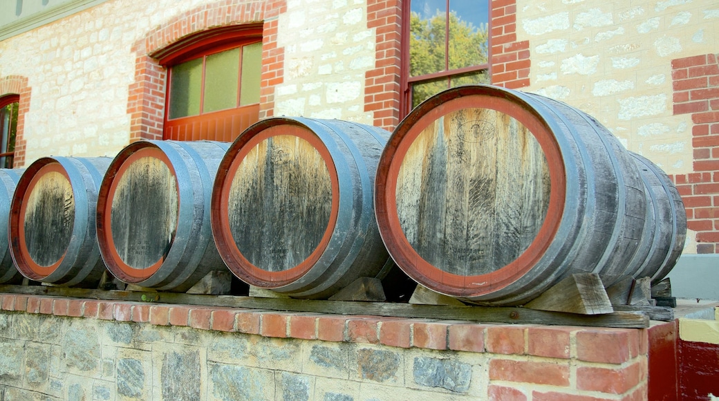 Yalumba Wines vingård