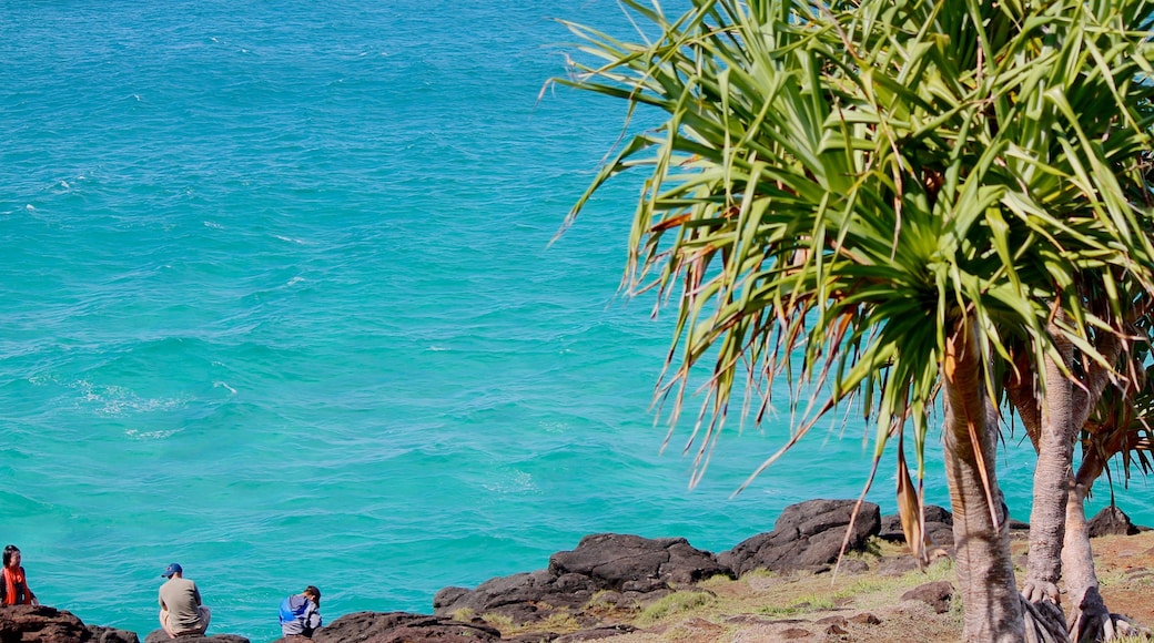 Fingal Lighthouse featuring tropical scenes, landscape views and rocky coastline