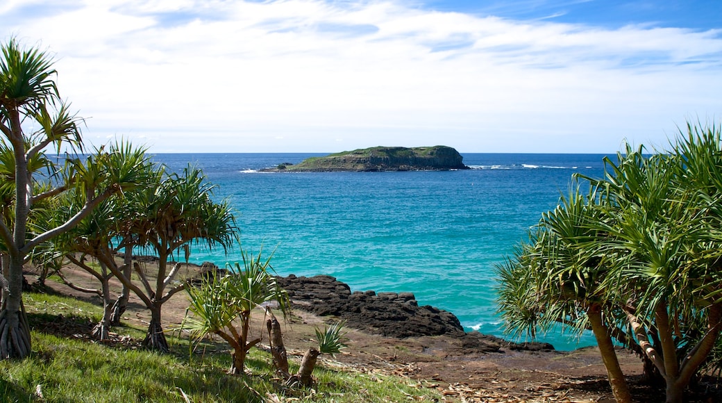 Fingal Lighthouse featuring landscape views, general coastal views and island images