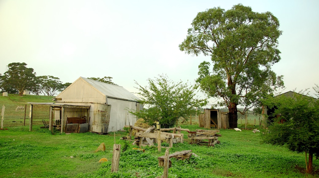 Barossa Valley som inkluderer liten by eller landsby og åkre