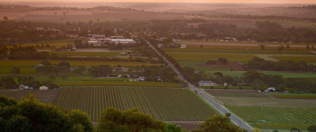 Mengler Hill Lookout showing a small town or village, a sunset and farmland