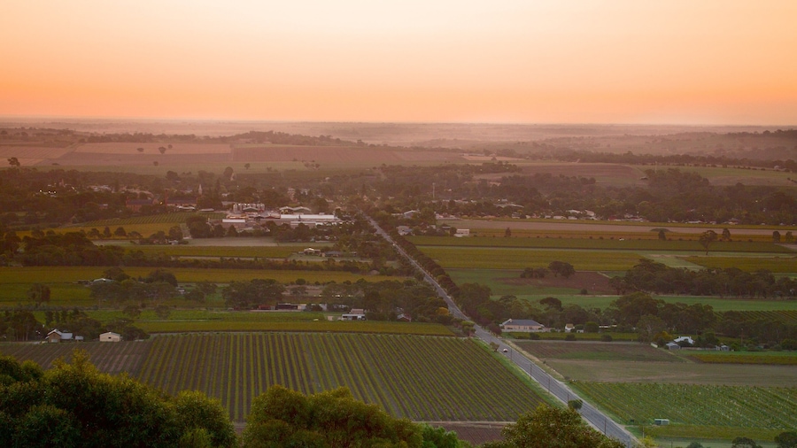 Mengler Hill Lookout showing a small town or village, a sunset and farmland