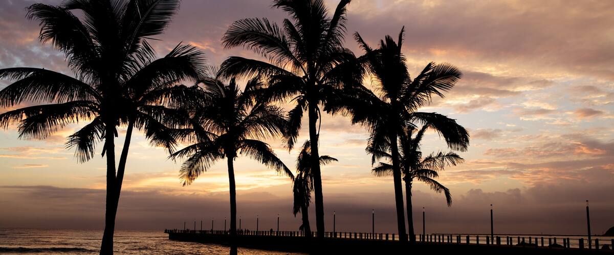 North Beach showing a beach, landscape views and tropical scenes