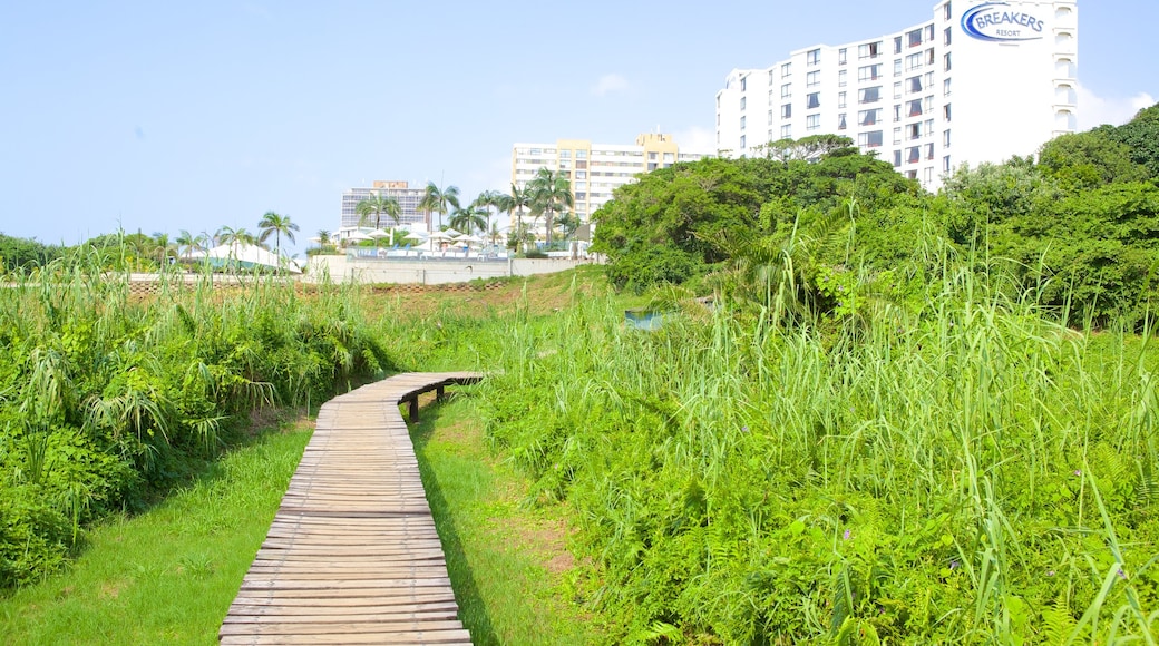 Naturleden Umhlanga Lagoon som visar en kuststad, kustutsikter och ett hotell