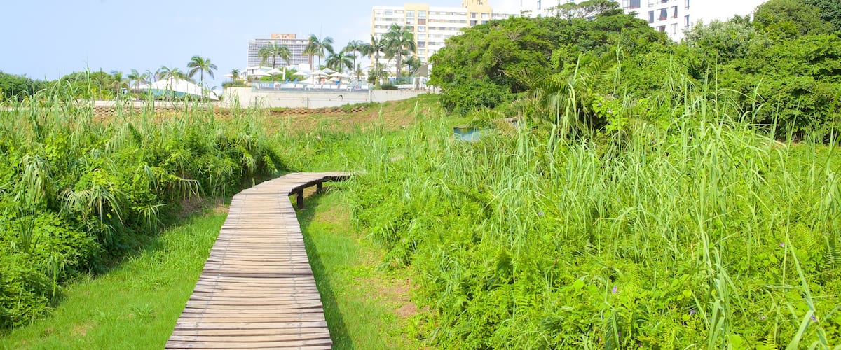 Umhlanga Lagoon Nature Trail which includes general coastal views, a hotel and a coastal town