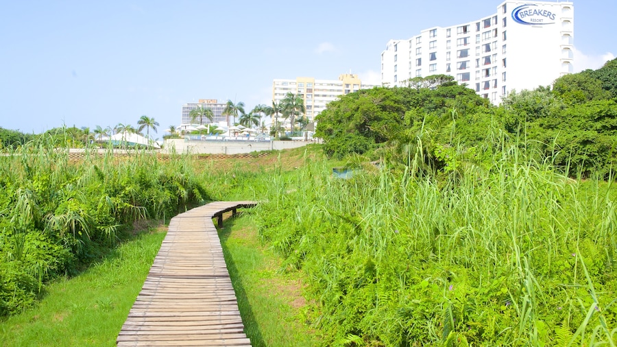 Reserva natural Umhlanga Lagoon Nature Trail mostrando una ciudad costera, vistas generales de la costa y un hotel