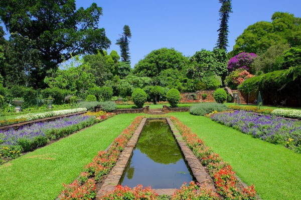 ダーバン植物園 フィーチャー 公園, 花 と 自然の風景