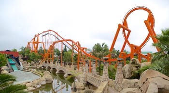 Gold Reef City mit einem Teich, Fahrten und Park