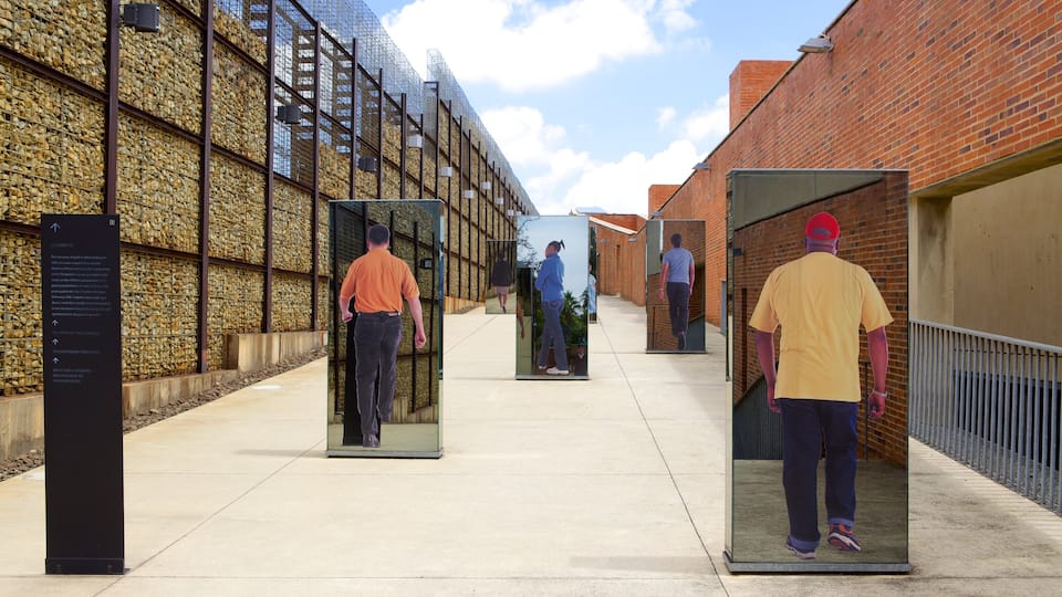 Apartheid Museum which includes a city and art