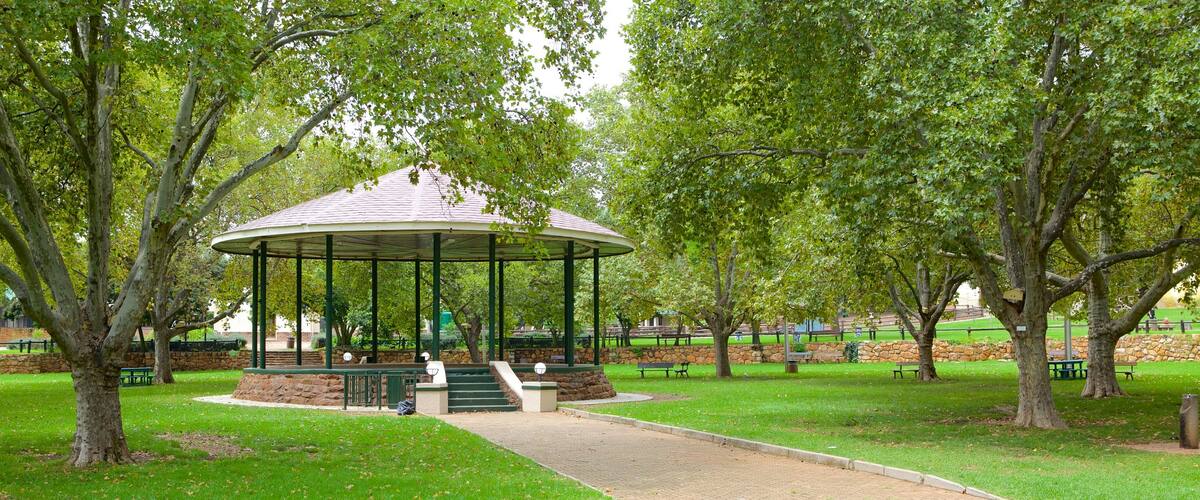 Johannesburg Zoo showing a park