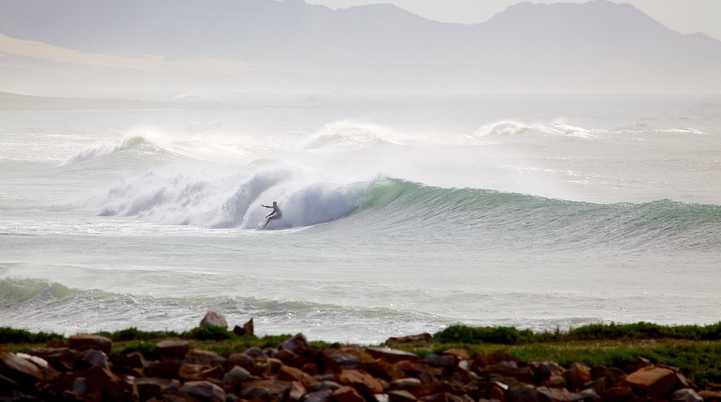 Port Alfred showing waves, general coastal views and surfing