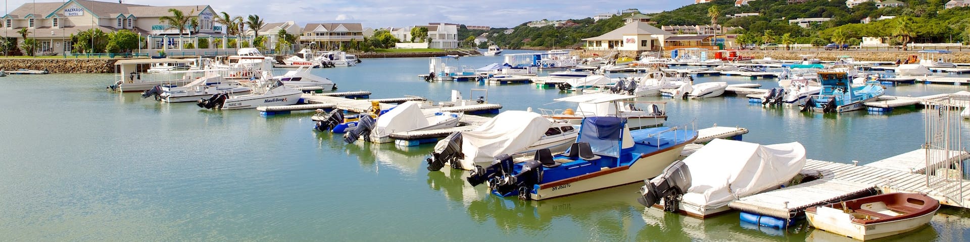 Port Alfred mostrando una marina, paseos en lancha y una ciudad costera