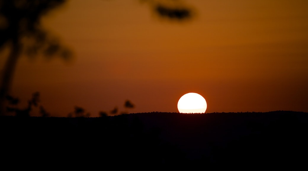 Kruger National Park que inclui um pôr do sol