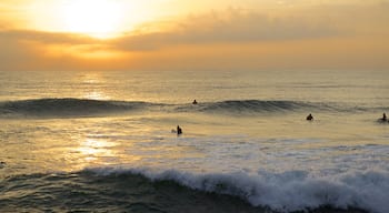 South Beach montrant coucher de soleil, surf et vagues