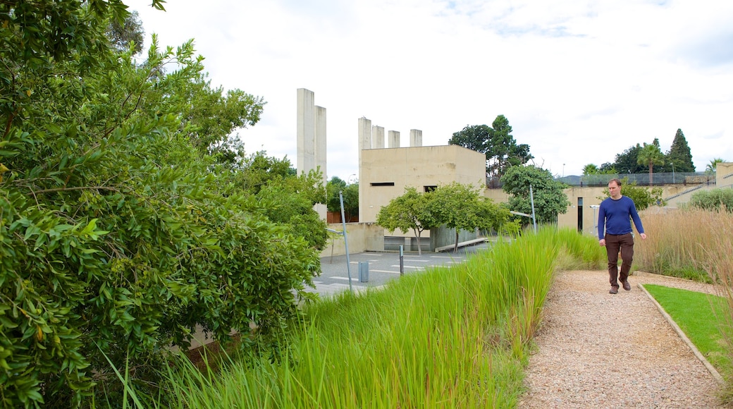 Apartheid Museum featuring a park as well as an individual male