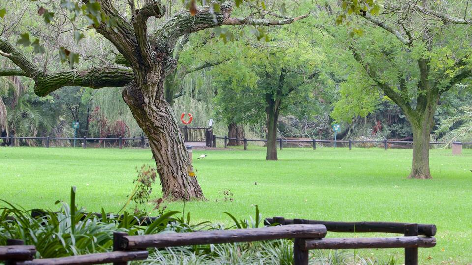 Johannesburg Zoo showing zoo animals and a garden