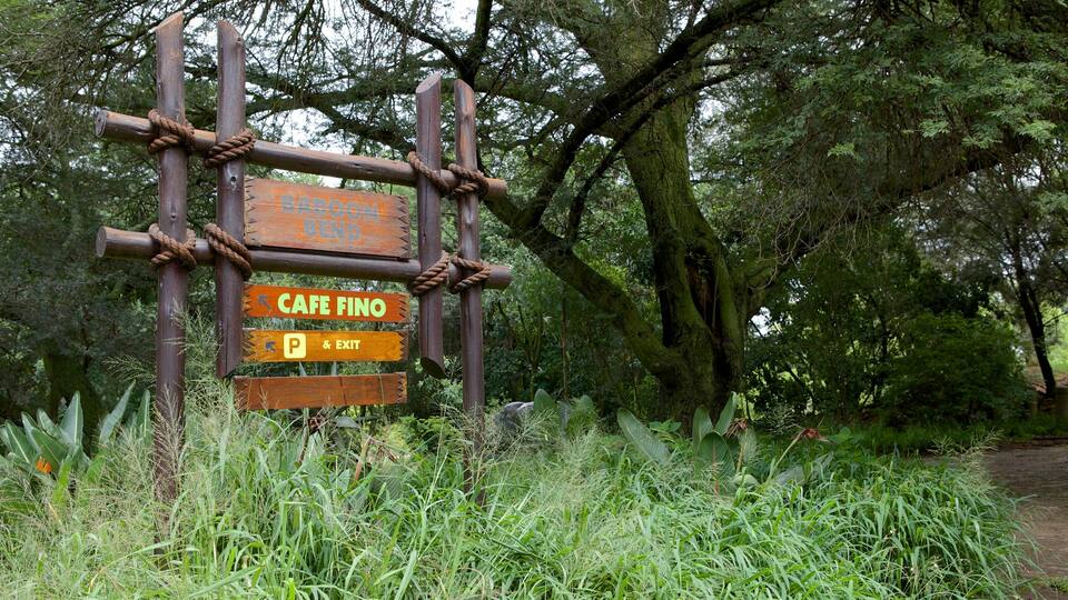 Johannesburg Zoo showing zoo animals and signage