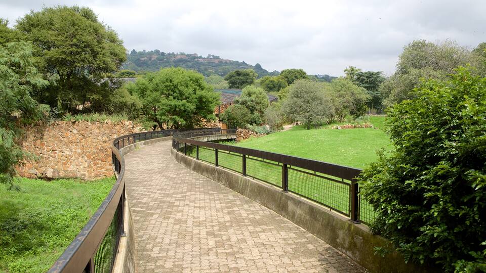 Johannesburg Zoo showing landscape views and zoo animals