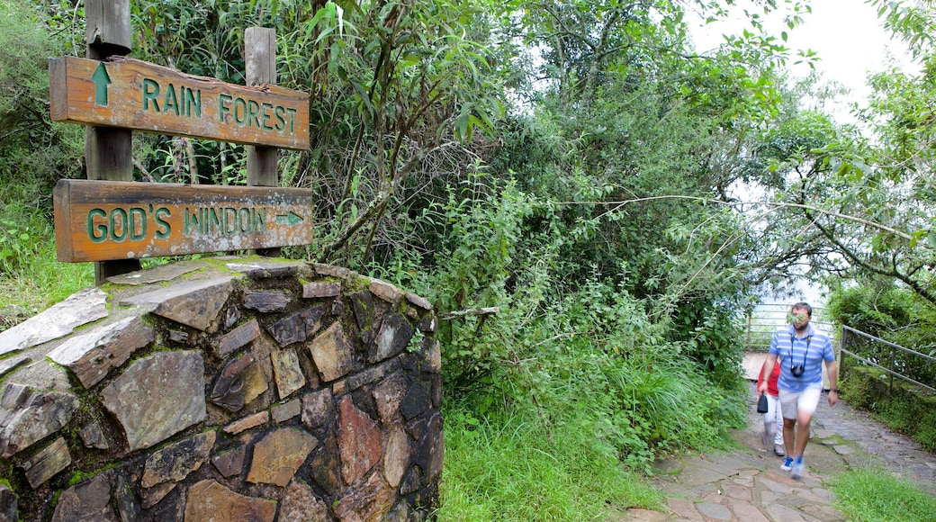 God\'s Window showing hiking or walking, zoo animals and signage