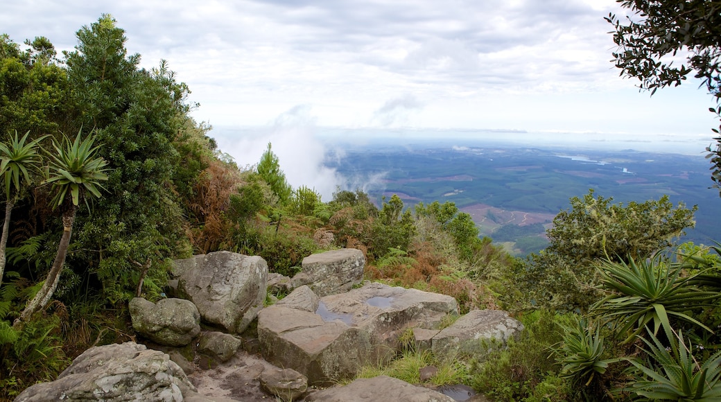 Point de vue de God\'s Window qui includes panoramas