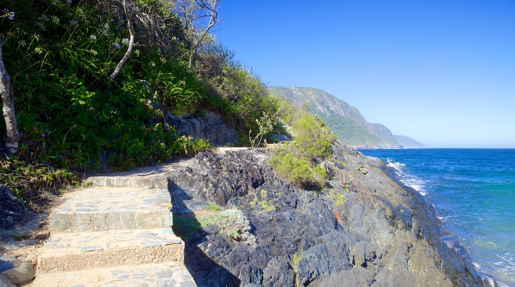 齊齊卡馬國家公園 呈现出 山 和 多岩石的海岸線