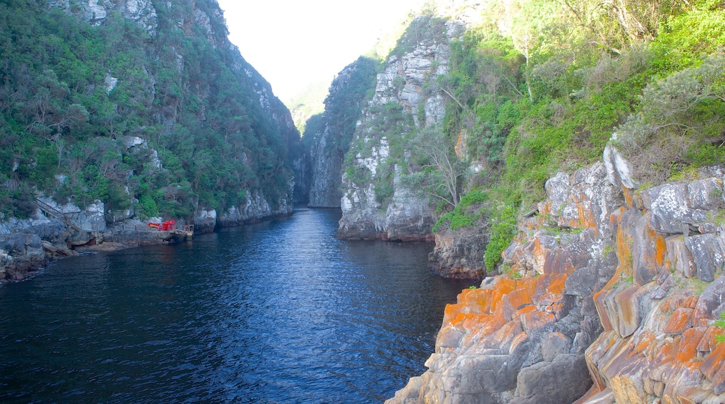 齊齊卡馬國家公園 其中包括 山水美景, 河流或小溪 和 峽谷