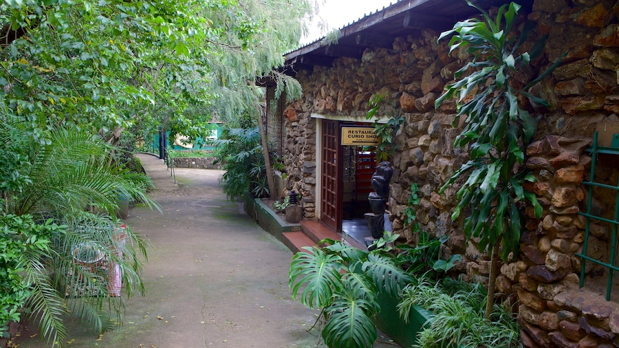Mpumalanga - Limpopo which includes a park and caves