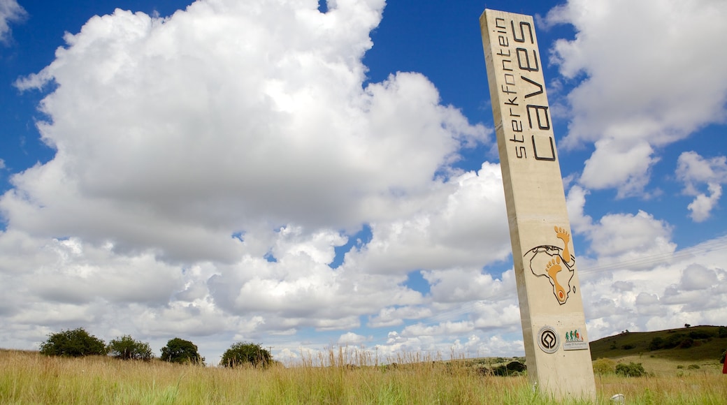 Sterkfontein Caves featuring signage