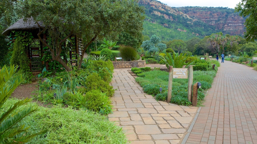 Walter Sisulu Botanical Gardens showing a garden