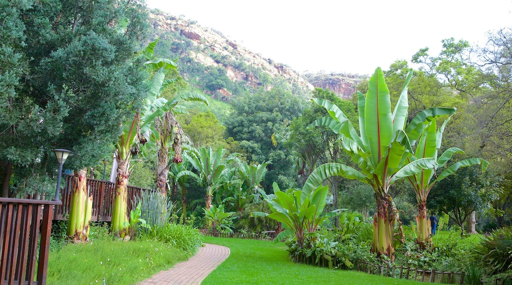 ウォルター シスル植物園 表示 庭園