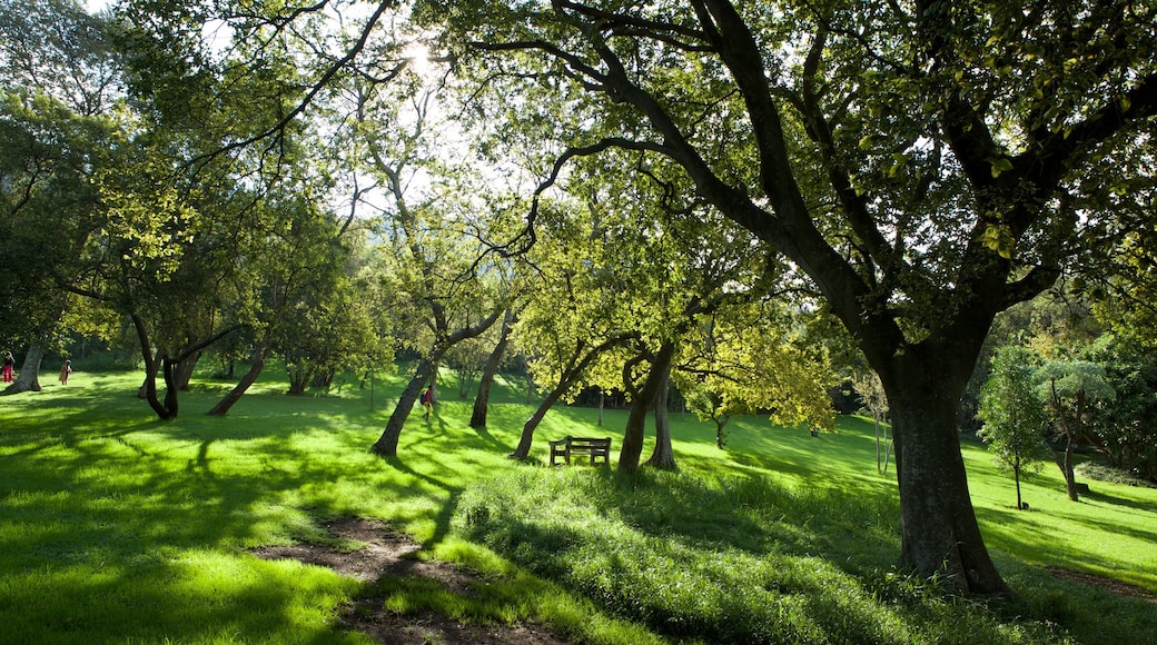 Botanische tuinen Walter Sisulu bevat landschappen en een tuin