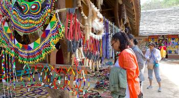 Lesedi Cultural Village mostrando mercati, shopping e piccola città o villaggio