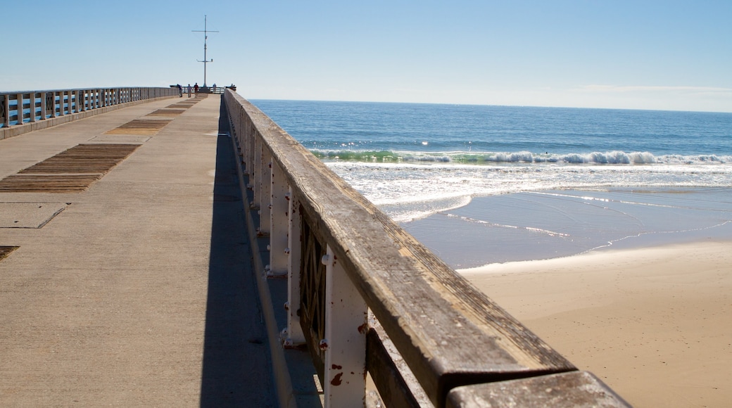 Hobie Beach showing a beach, a bridge and landscape views