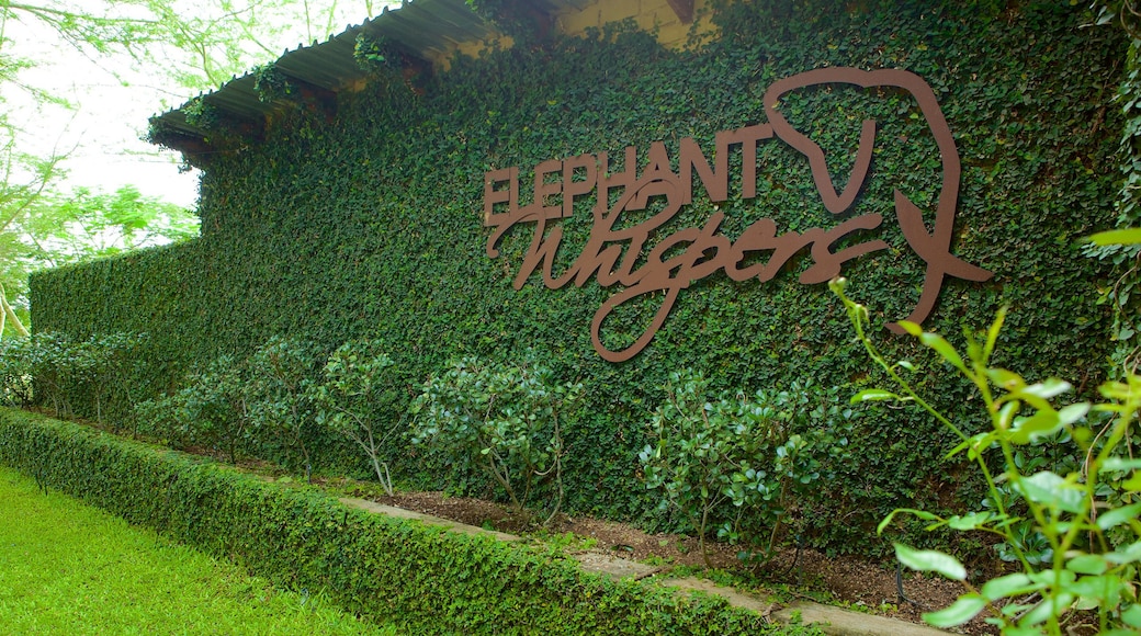 Elephant Whispers showing a garden and signage