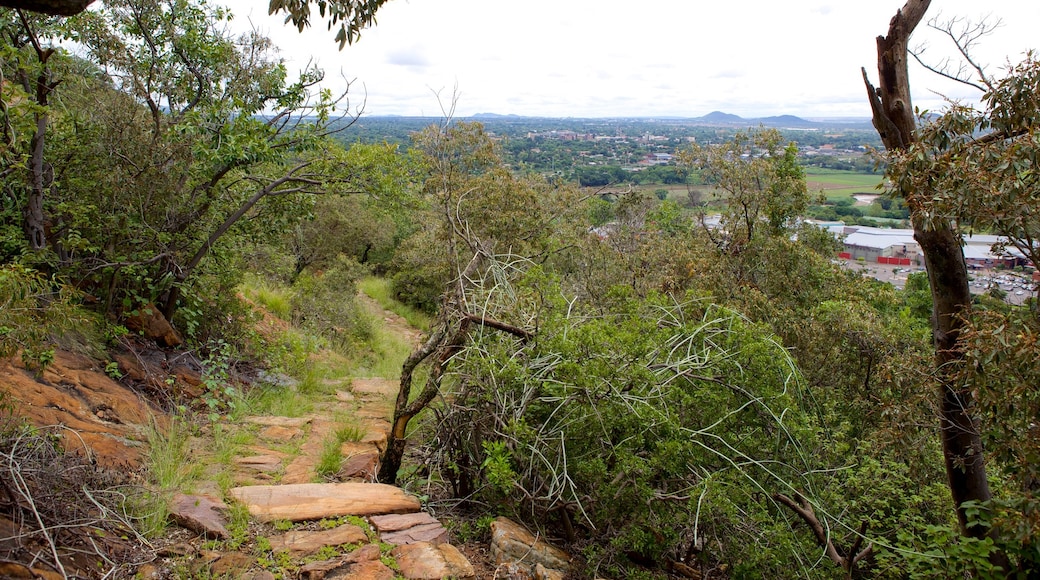 Wonderboom Nature Reserve showing landscape views and a city